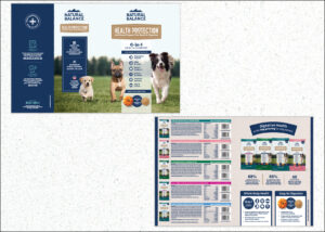 HEALTH PROTECTION BROCHURE<br><h6 style="color:gray;">(minimum order quantity: 10)</h>