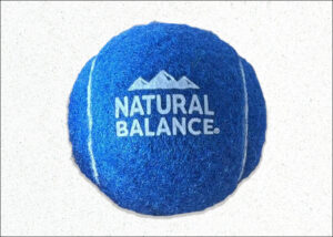 Dog Toy Ball